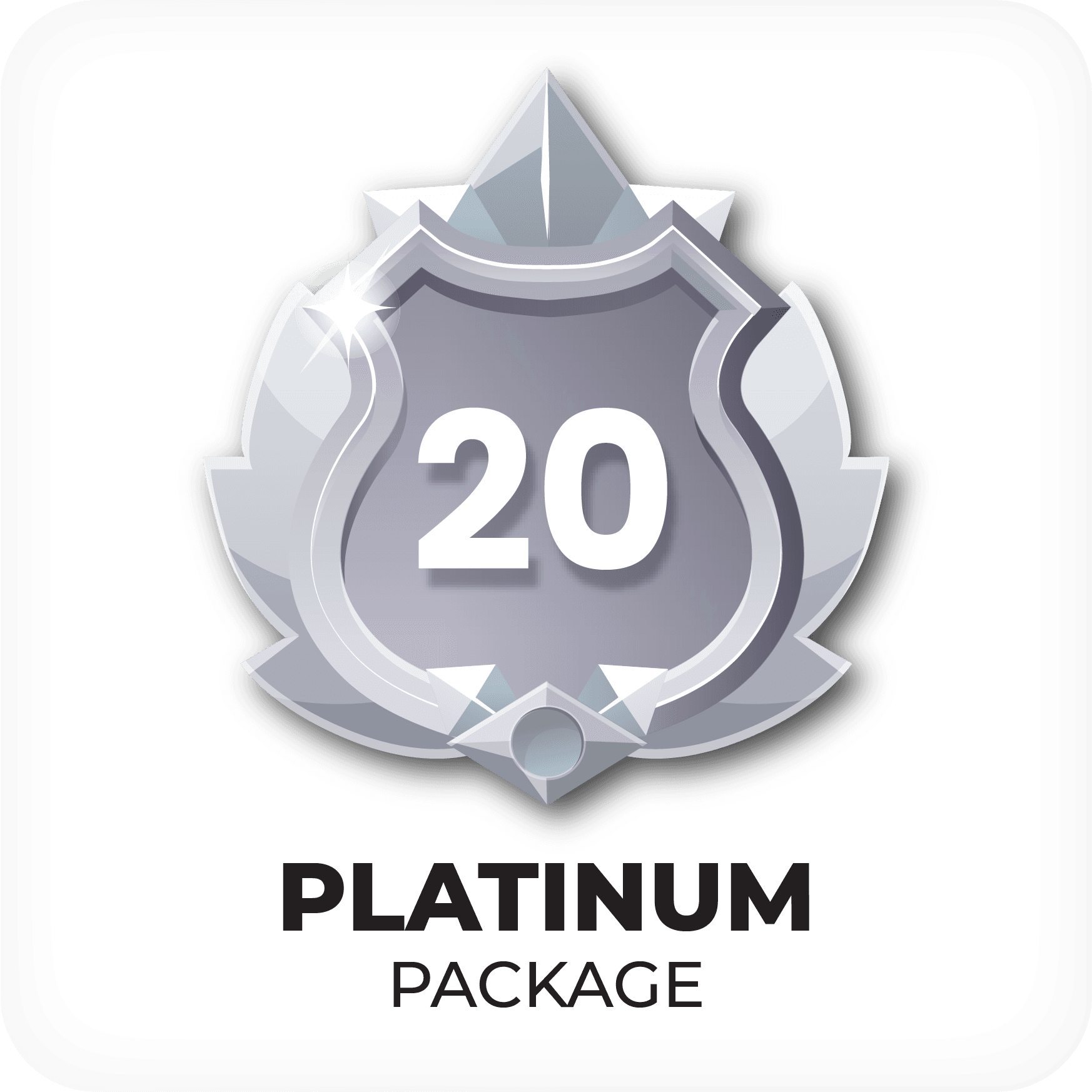 Ilustrasi Paket Platinum