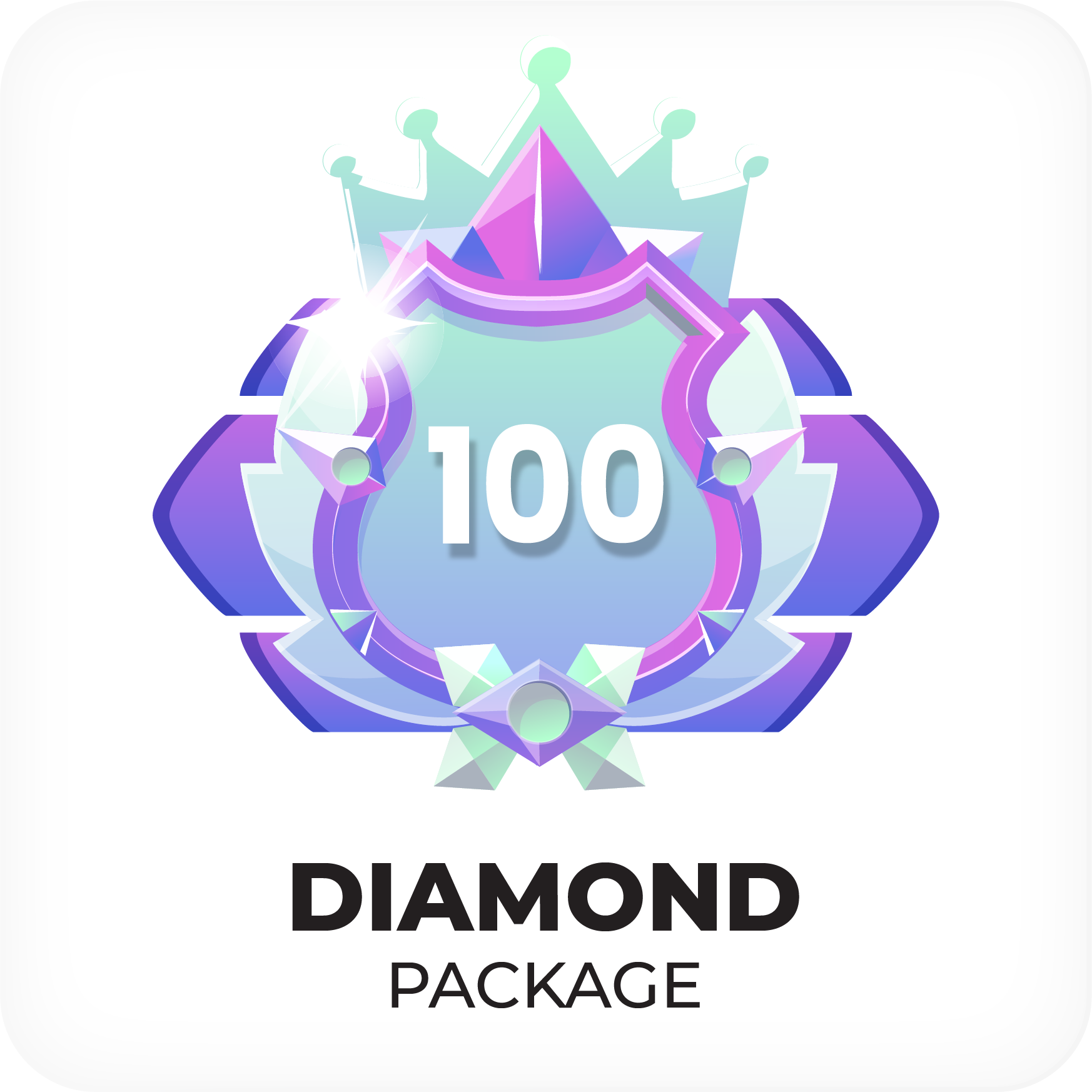 Paket Diamond